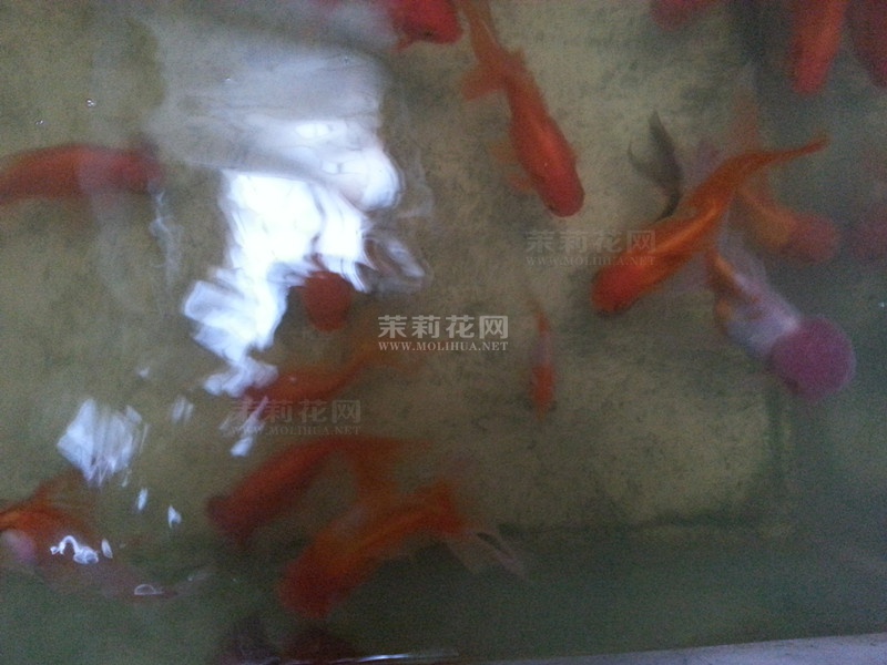 发2.jpg