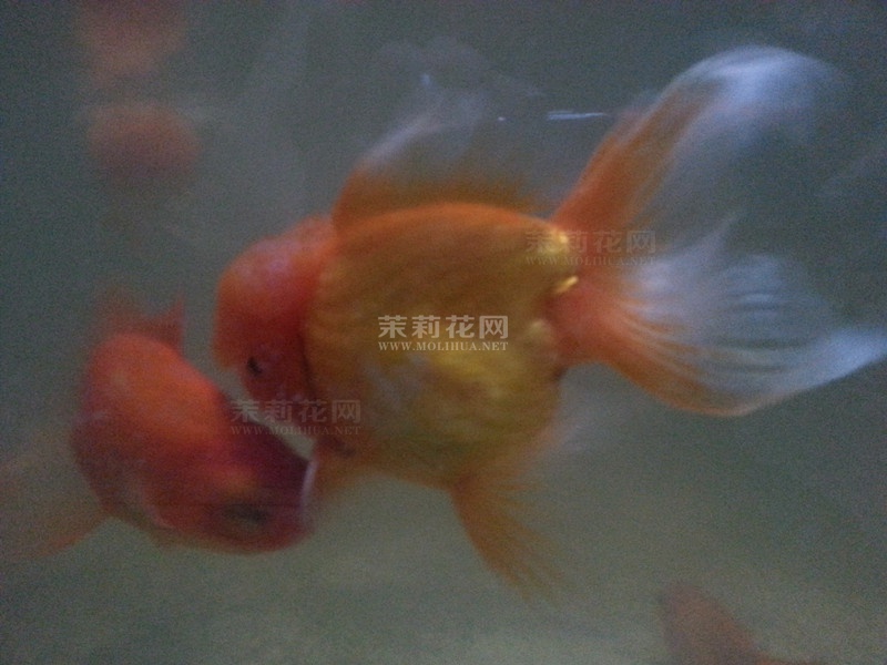 发.jpg