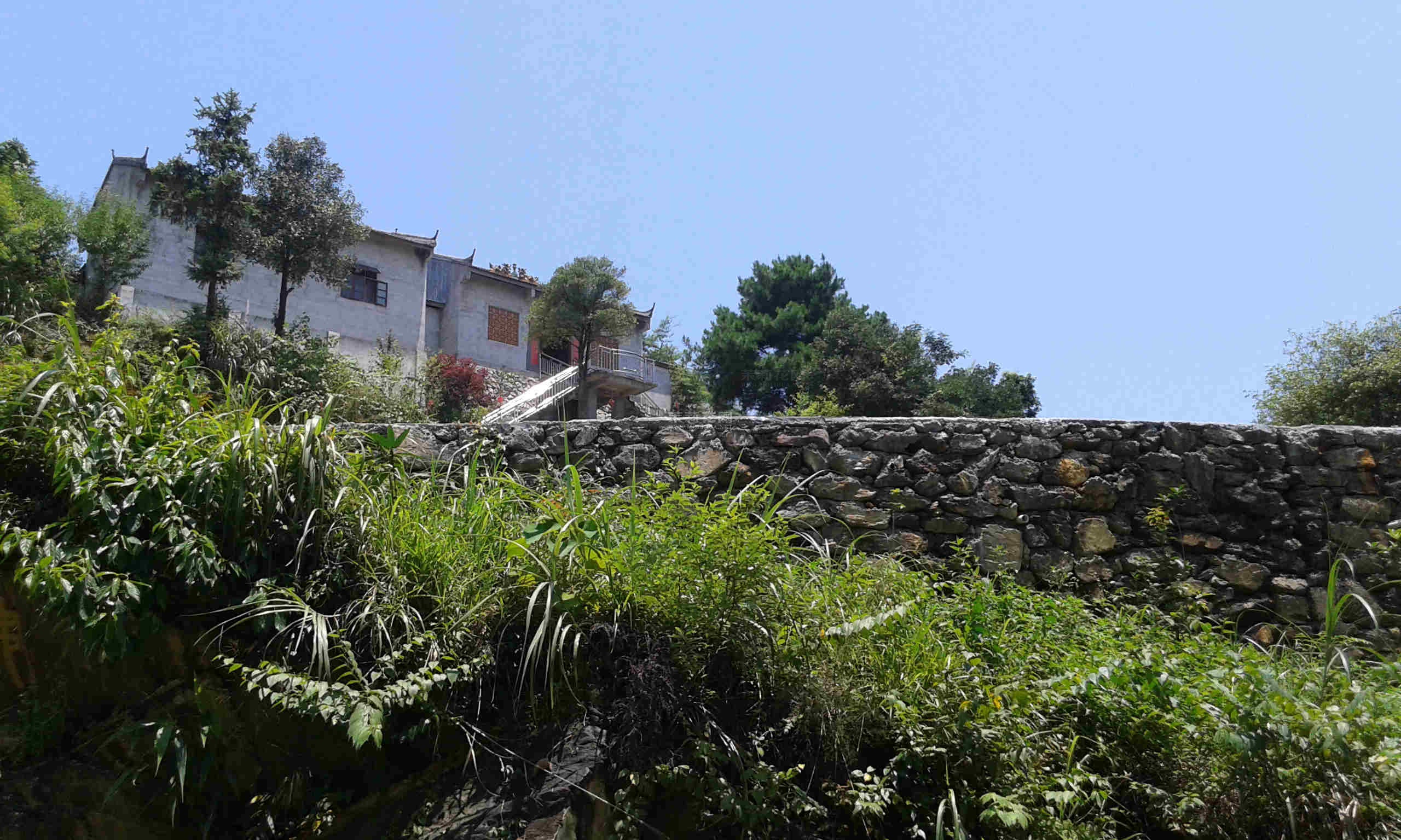 20140723_121251.jpg