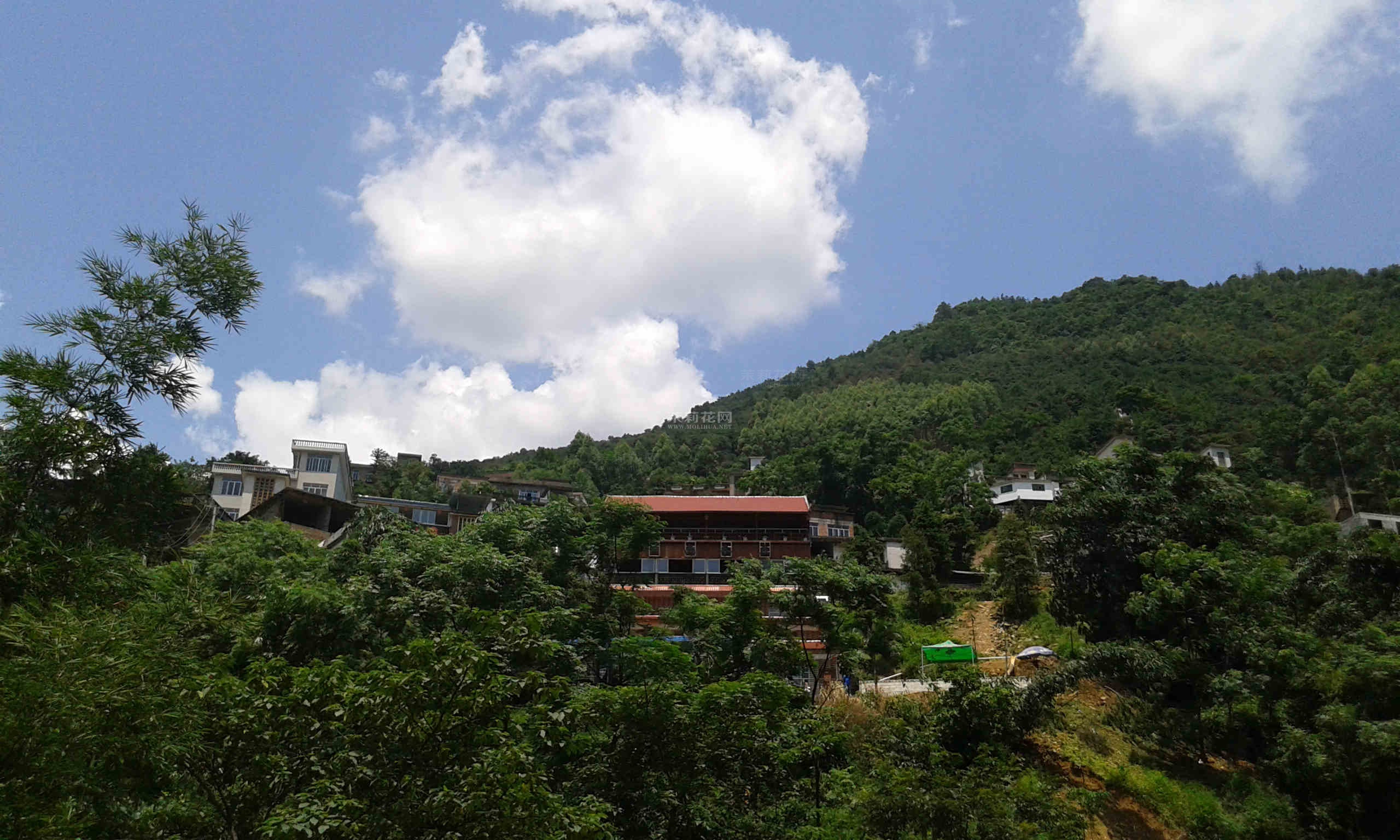 20140723_115931.jpg