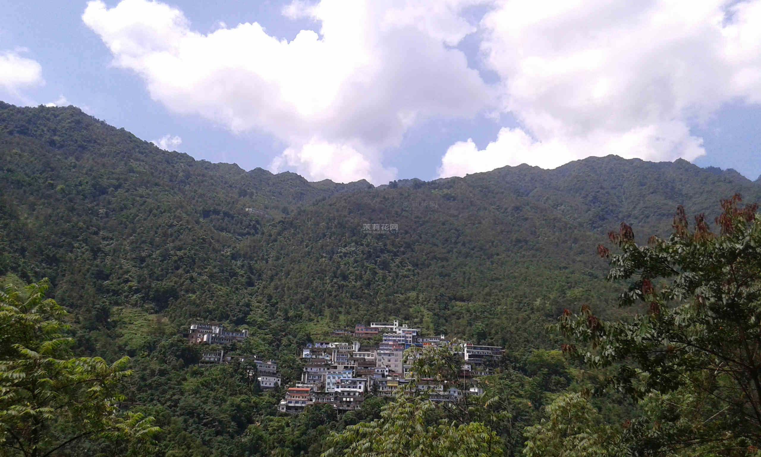 20140723_112350.jpg