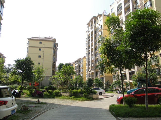 DSC09653.JPG