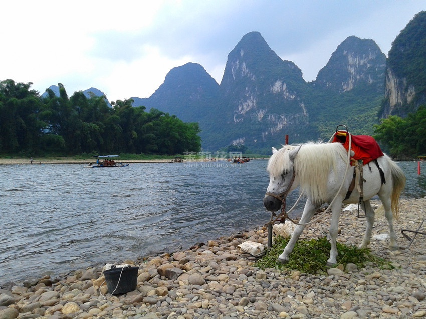20140805_140731.jpg