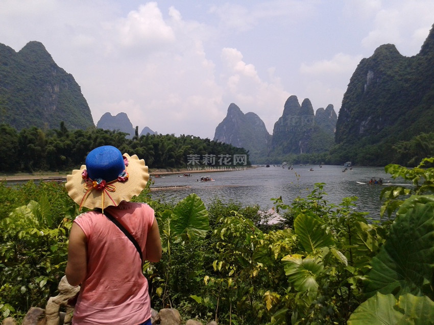 20140805_134902.jpg