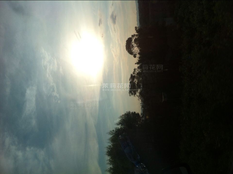 QQ图片20140805205402.jpg