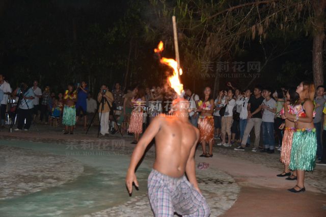 nEO_IMG_DSC_0032.jpg
