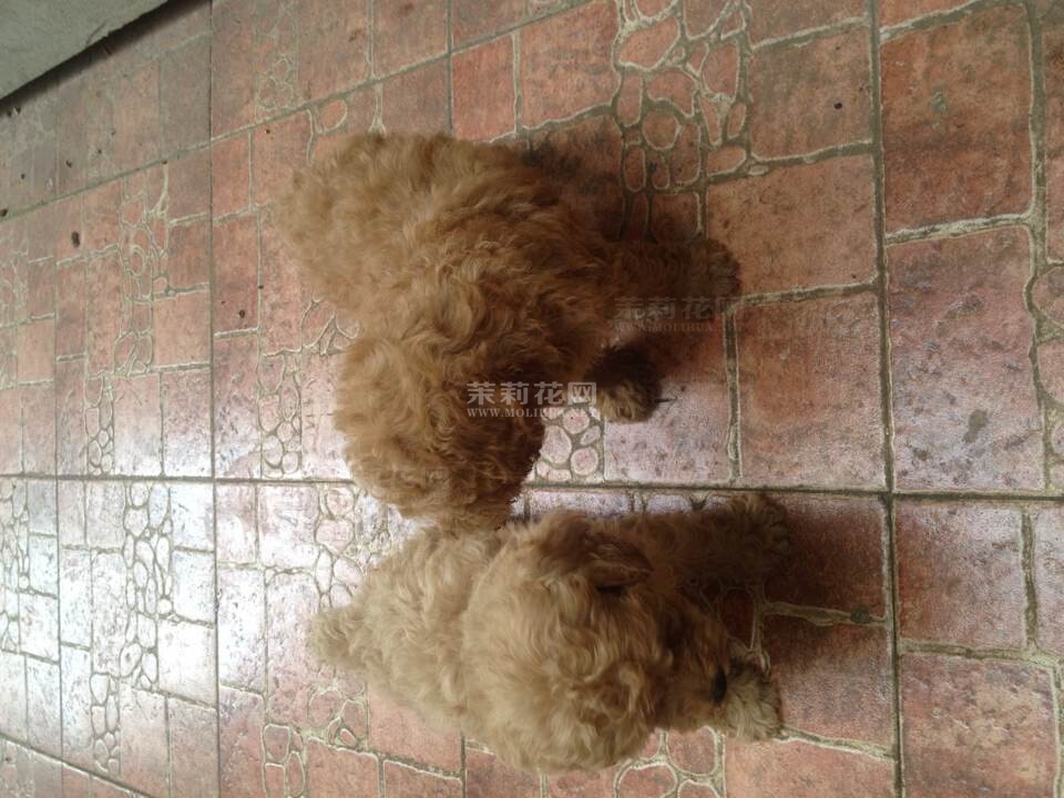 QQ图片20140809211531.jpg
