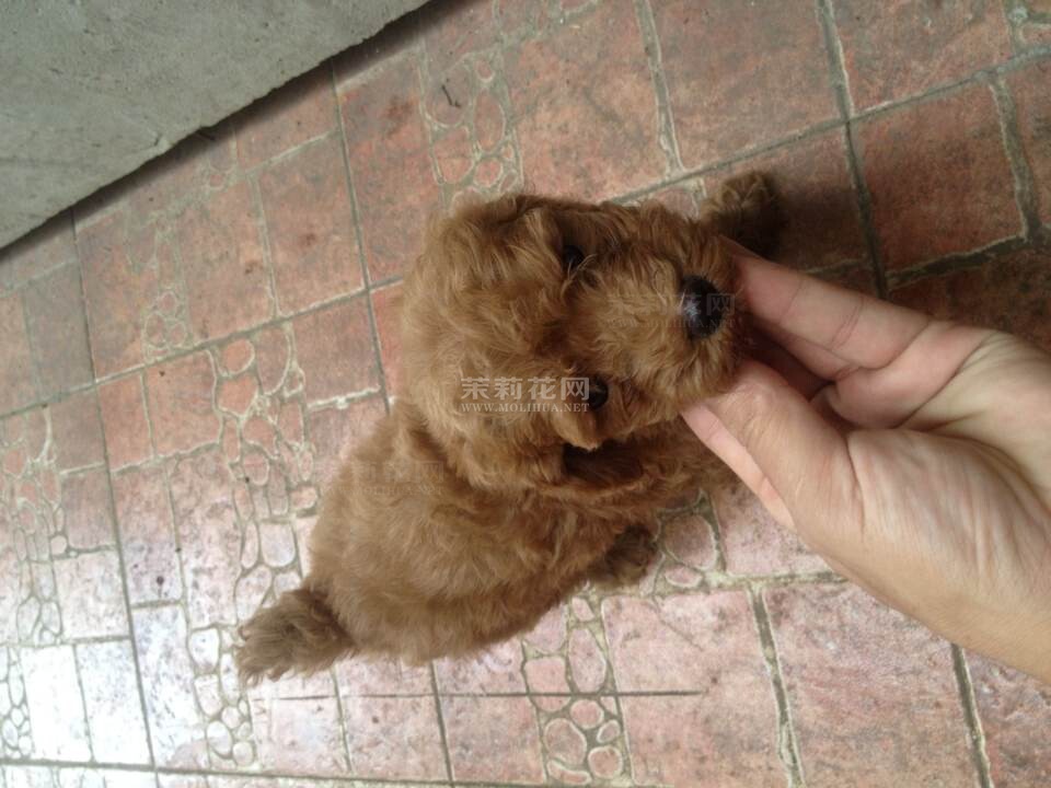 QQ图片20140809211527.jpg