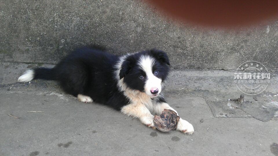 QQ图片20140514230353.jpg