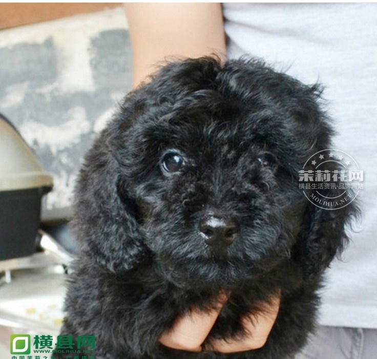 QQ图片20140518164248.jpg