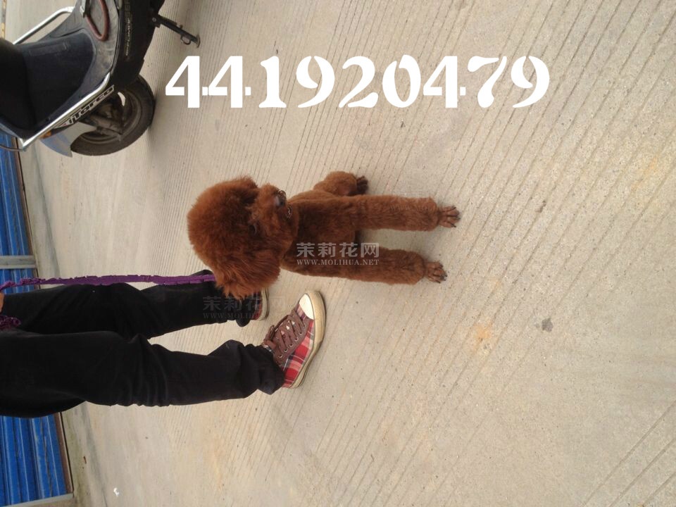 QQ图片20140809210124_meitu_1.jpg