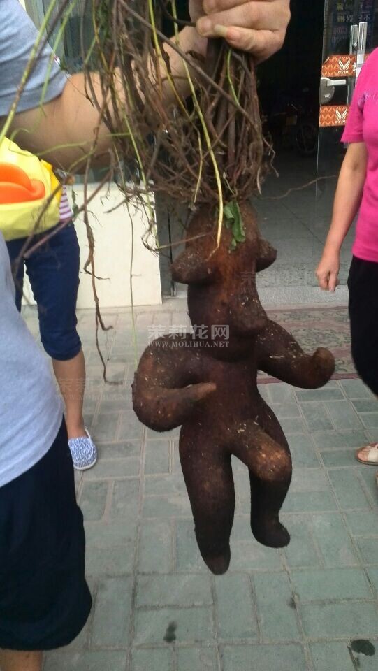 QQ图片20140819091520.jpg