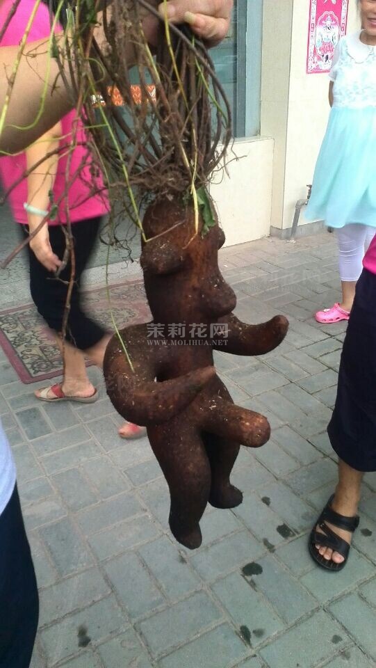 QQ图片20140819091523.jpg