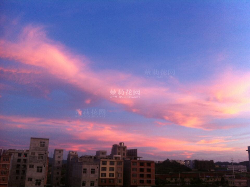 QQ图片20140827135251.jpg