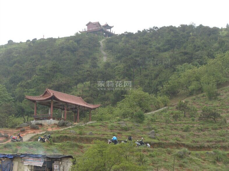 QQ图片20140902115956.jpg