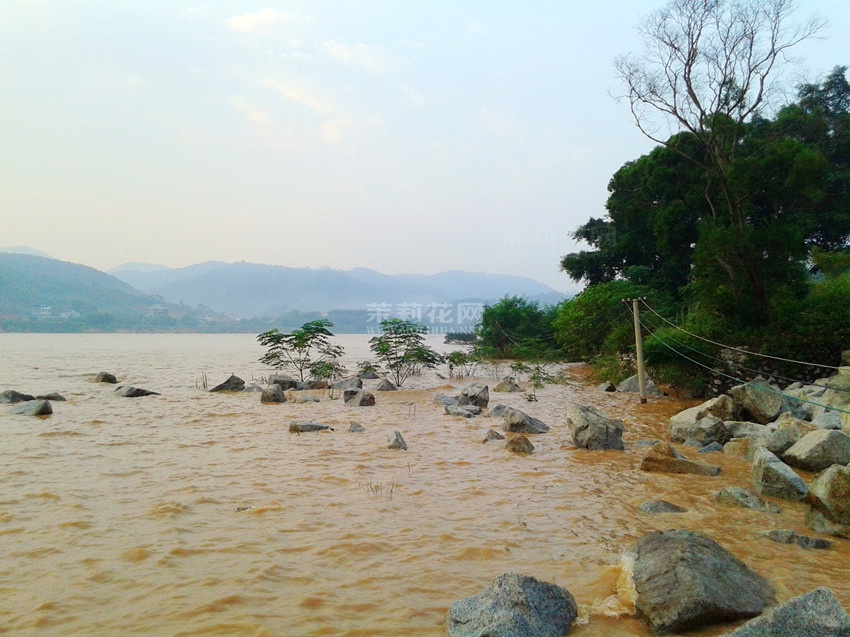 20140923_071755.jpg