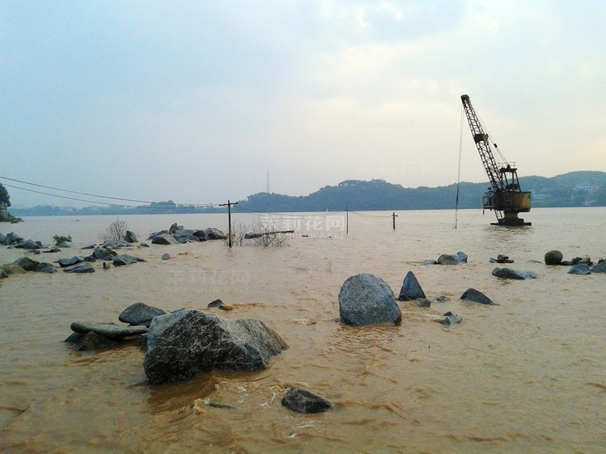 20140923_071848.jpg