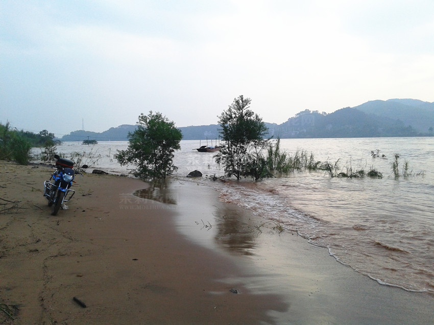 20140923_073725.jpg