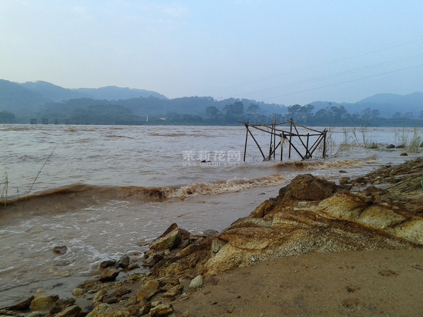 20140923_074116.jpg
