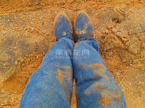 20140923_080241.jpg