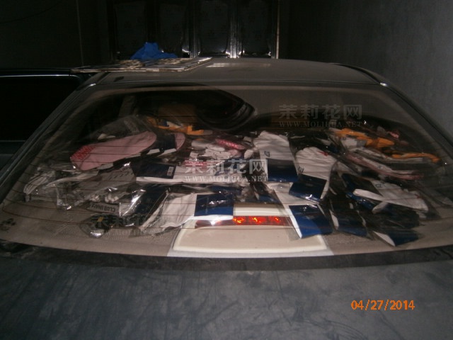 P6.JPG