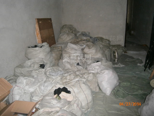 P12.JPG