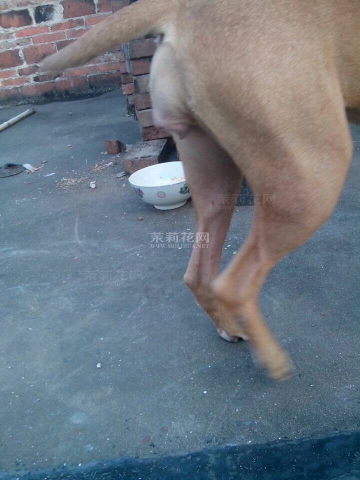QQ图片20141007223541.jpg