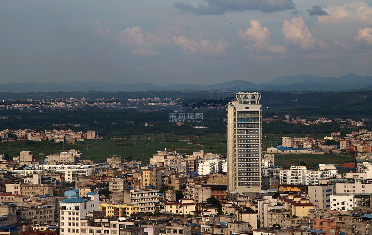 DSC014110.jpg