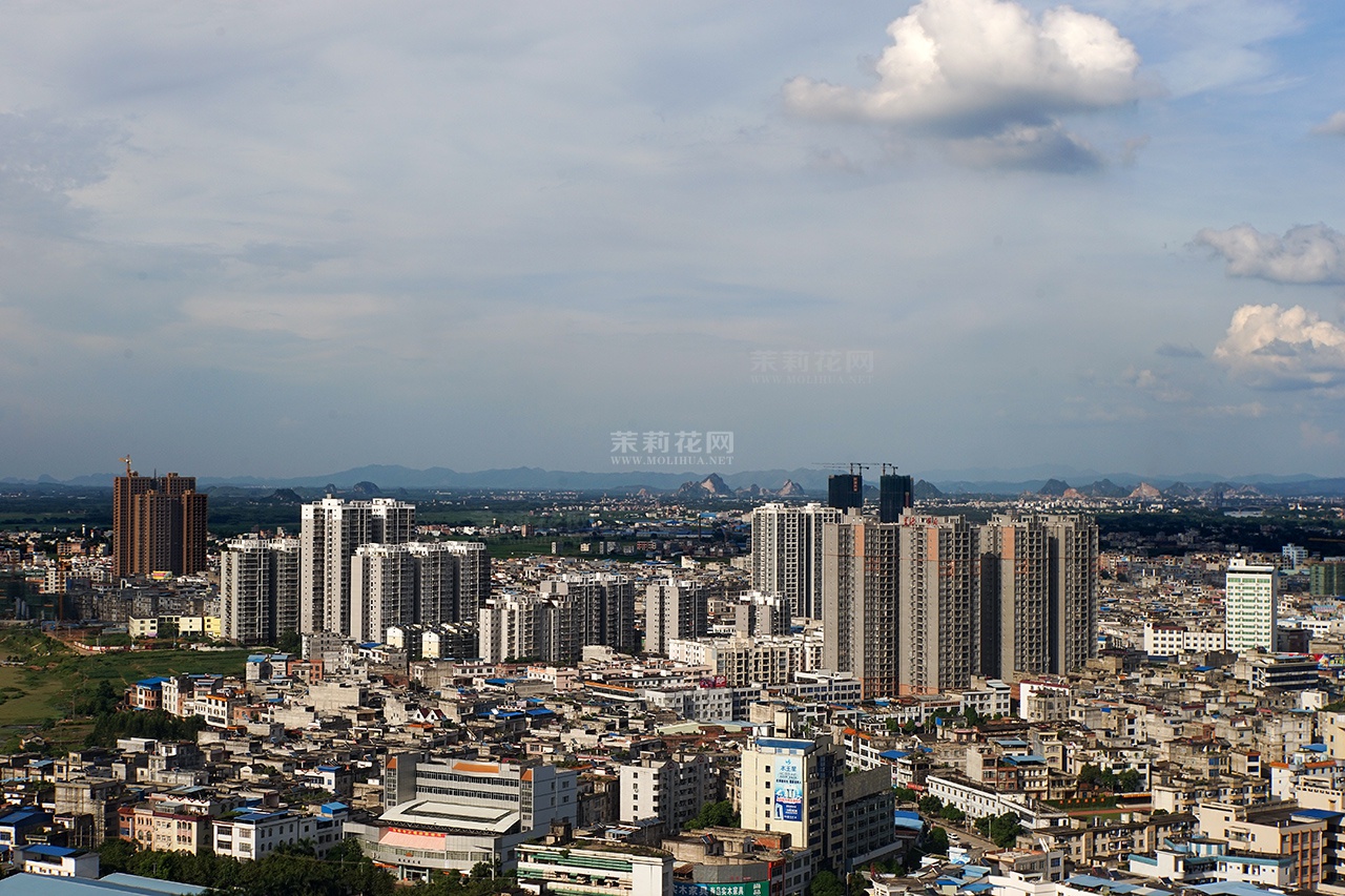 DSC01134.jpg