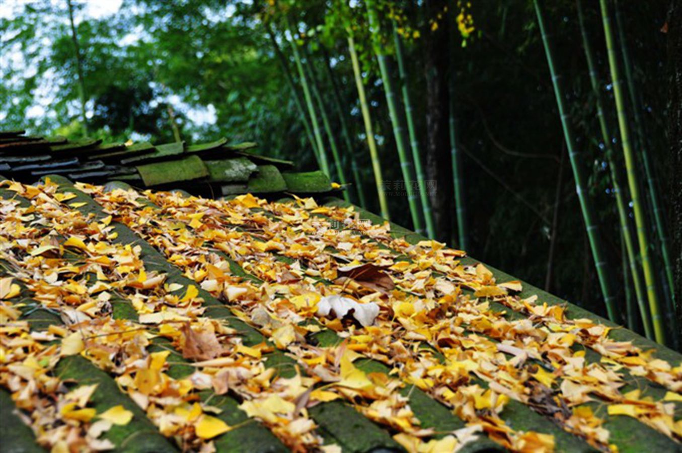 psb (6)_副本.jpg