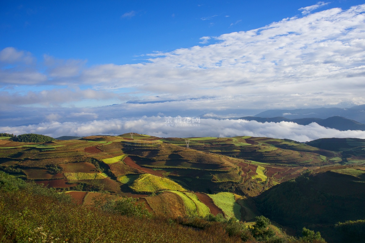 _DSC1006.jpg