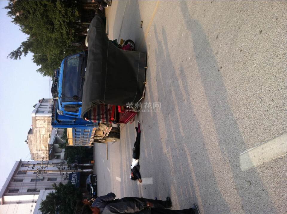 QQ图片20141116085450.jpg