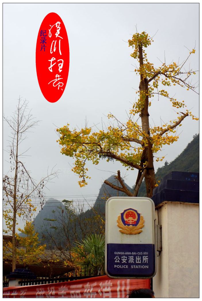 DSC06674.jpg