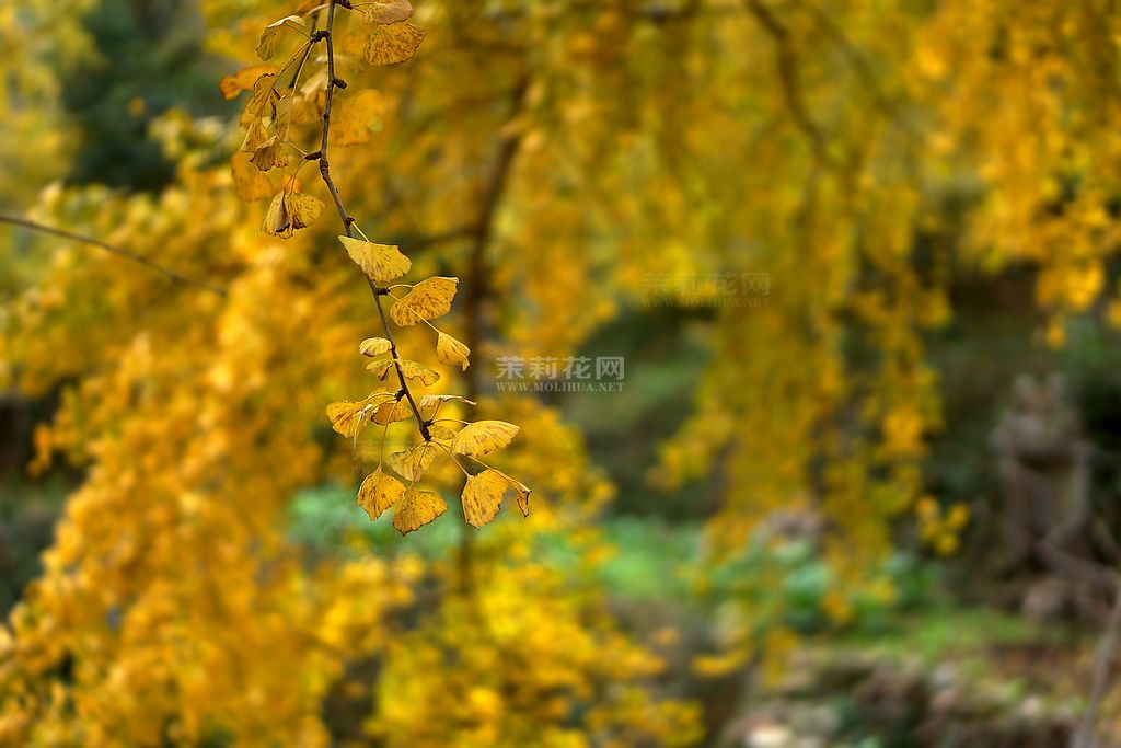 DSC06743.jpg