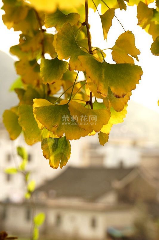 nEO_IMG_DSC06921.jpg