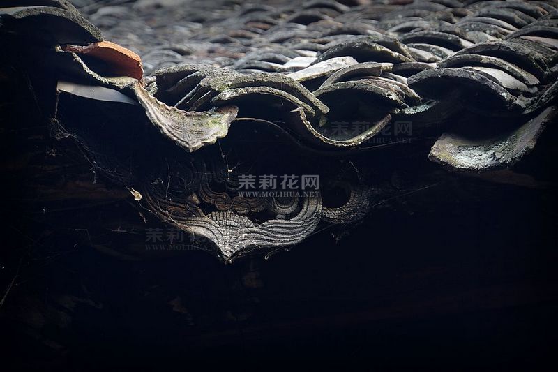 nEO_IMG_DSC06940.jpg