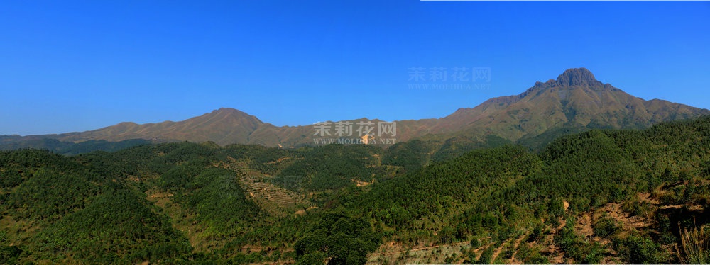 未标题_全景图1.jpg