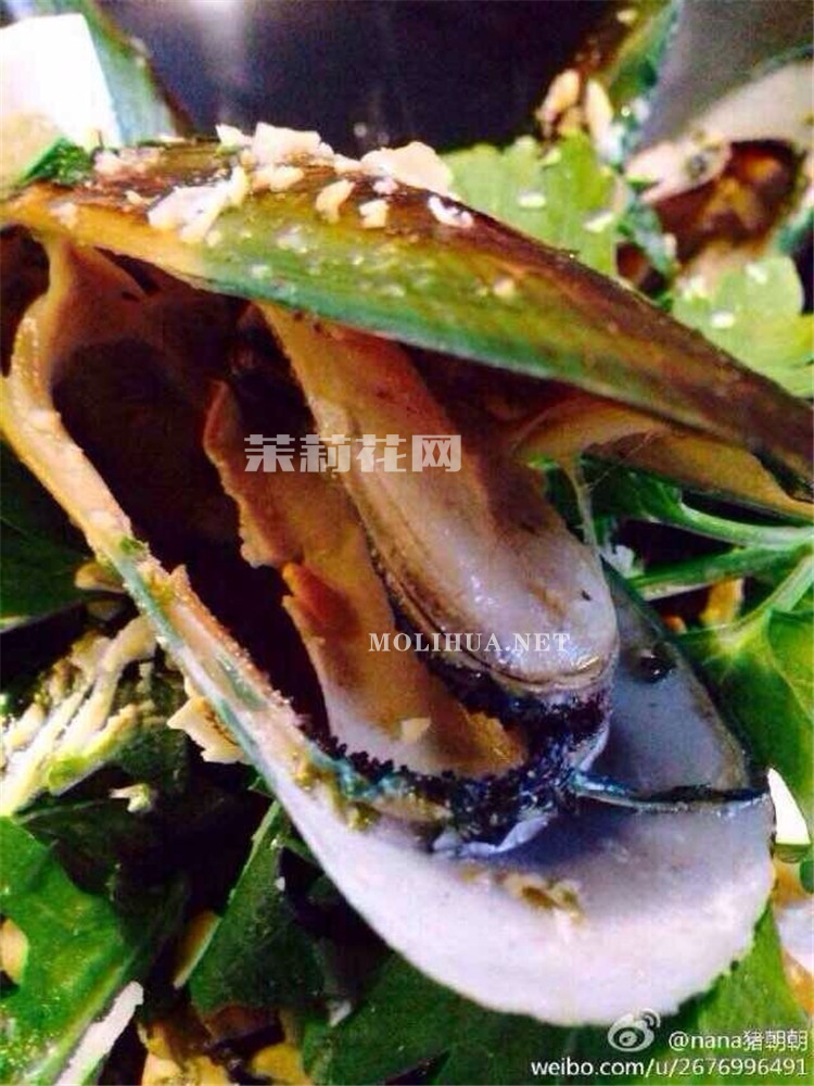 QQ图片20141218153327.jpg