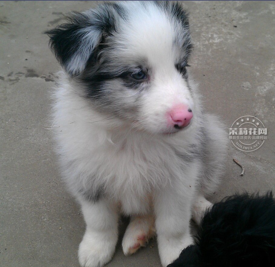 QQ图片20141220123937.jpg