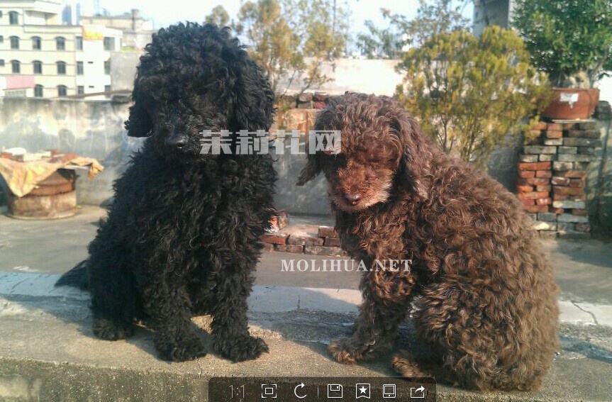 QQ图片20141221155224.jpg