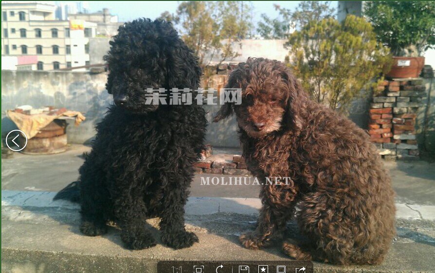 QQ图片20141221155219.jpg