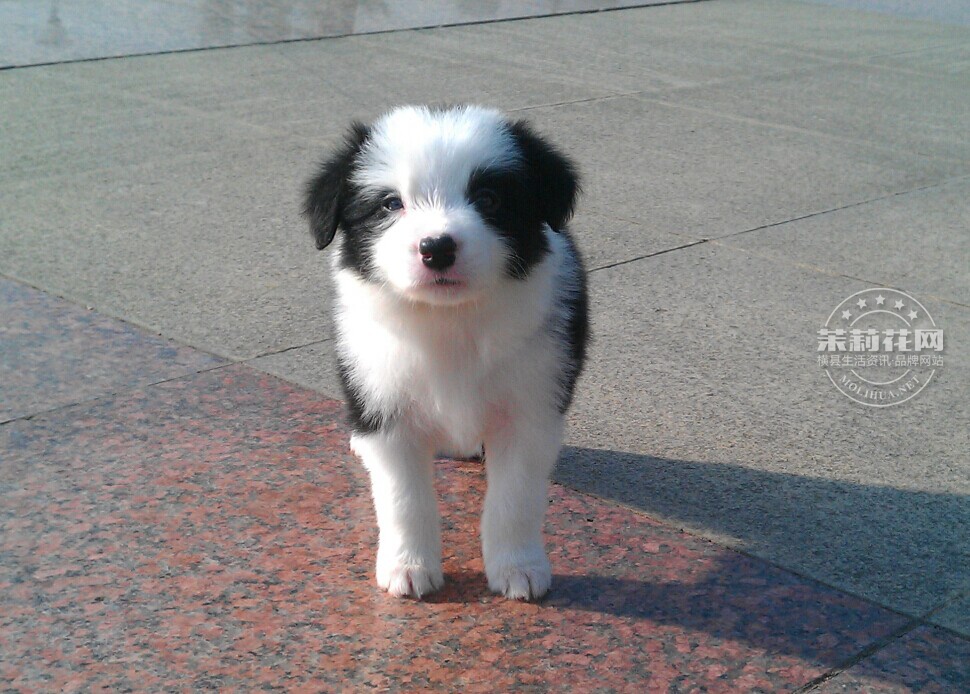 QQ图片20141220123024.jpg