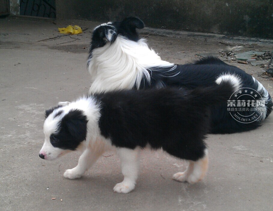 QQ图片20141220123028.jpg