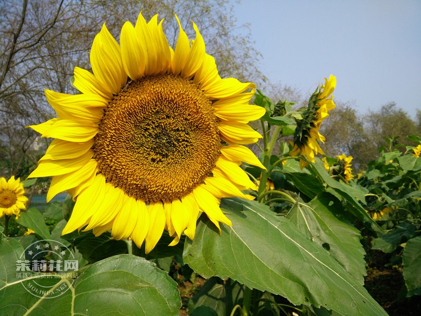 IMG20141228135337.jpg