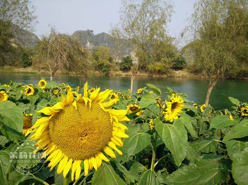 IMG20141228135851.jpg