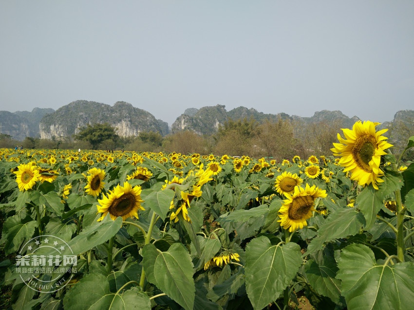 IMG20141228141327.jpg