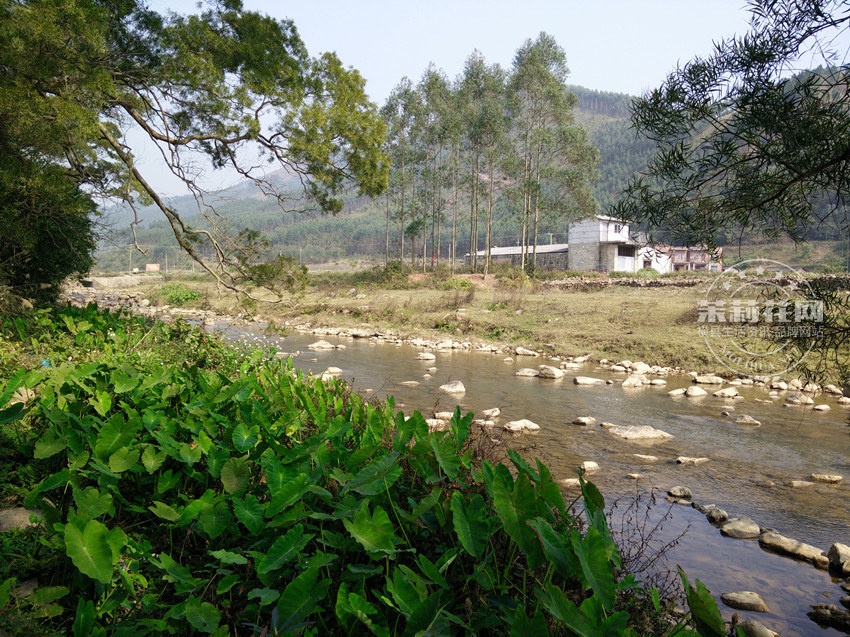 IMG20150118130737.jpg