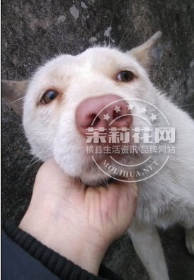 卖.1.png