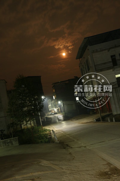 IMG_6738_副本.JPG