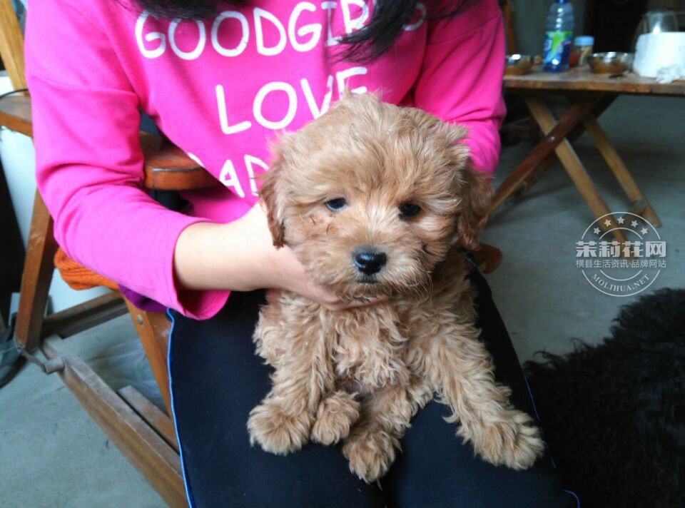 QQ图片20150209192453.jpg